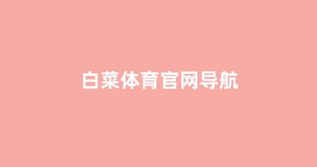 白菜系统登录平台